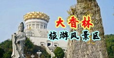 下载肏逼黄色视频中国浙江-绍兴大香林旅游风景区